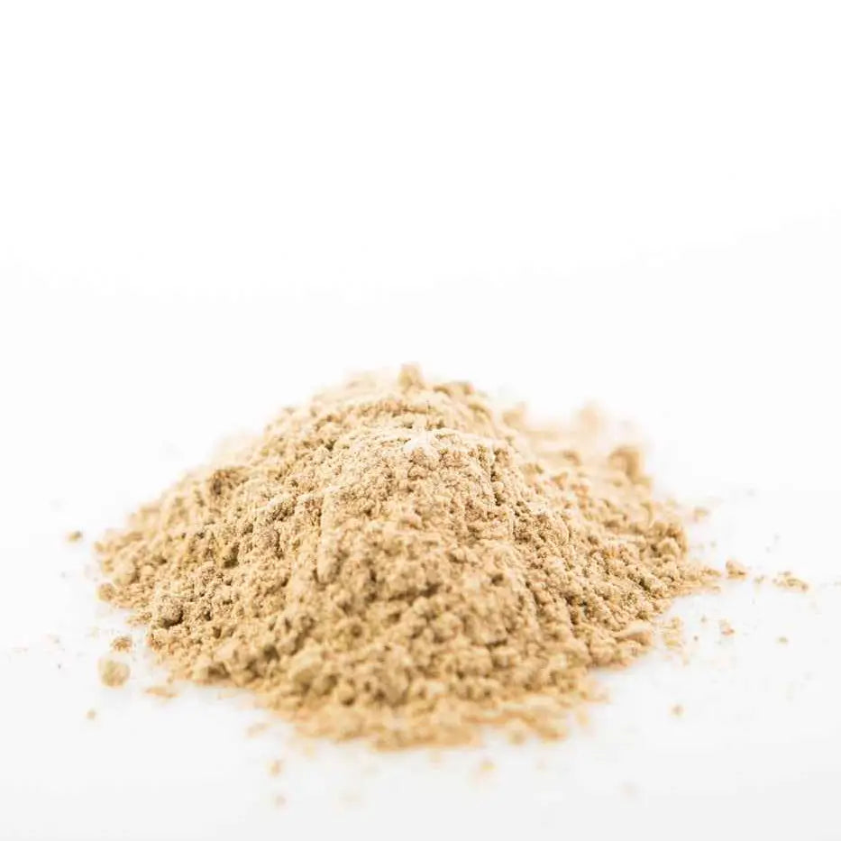 Reishi Mushroom Powder (Organic)