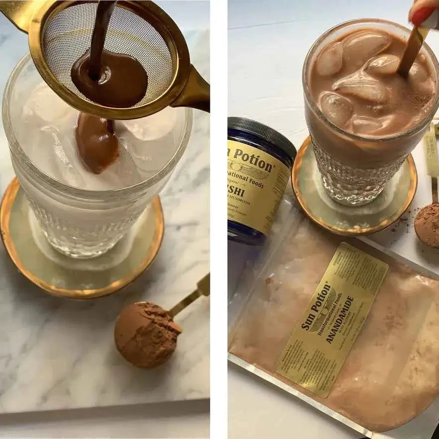 Reishi Mushroom Powder (Organic)