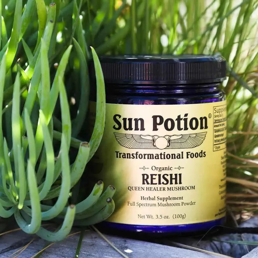 Reishi Mushroom Powder (Organic)