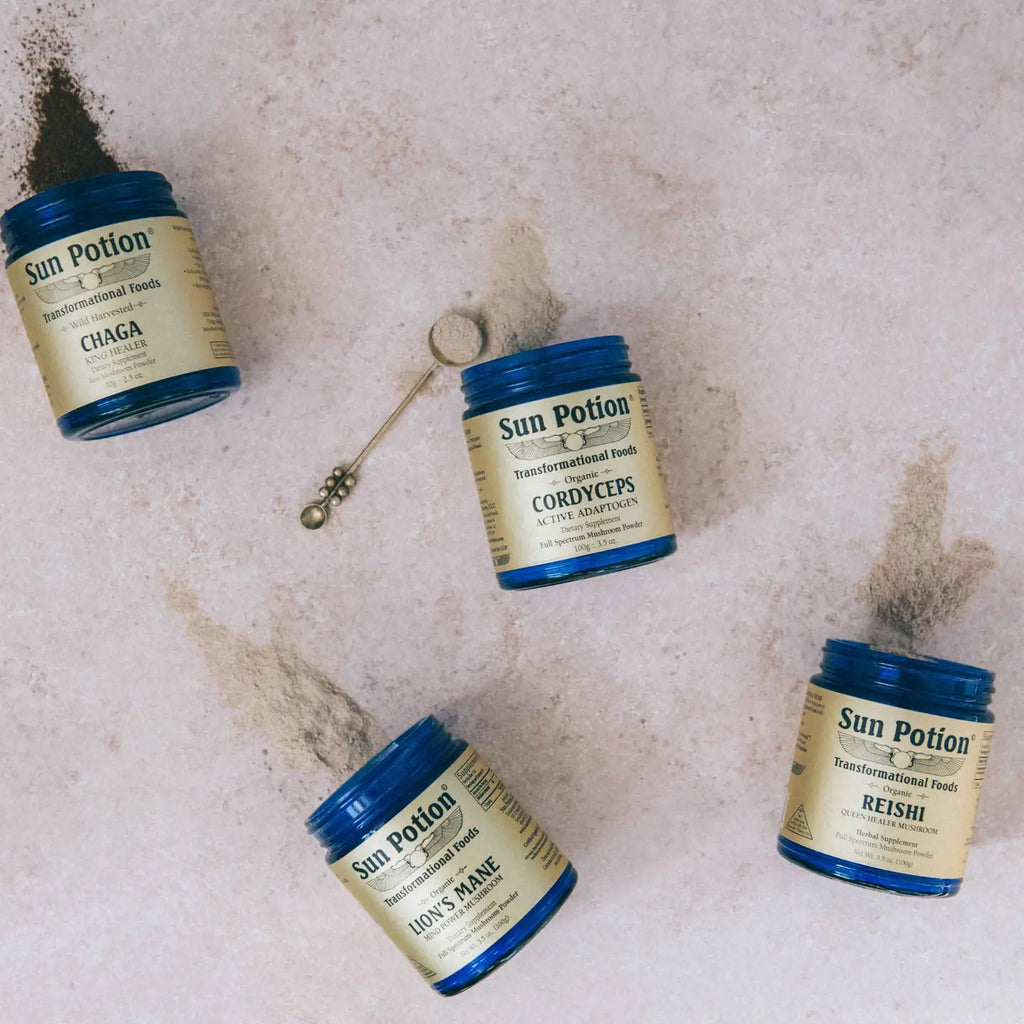 Lion's Mane (Organic) 100 Grams