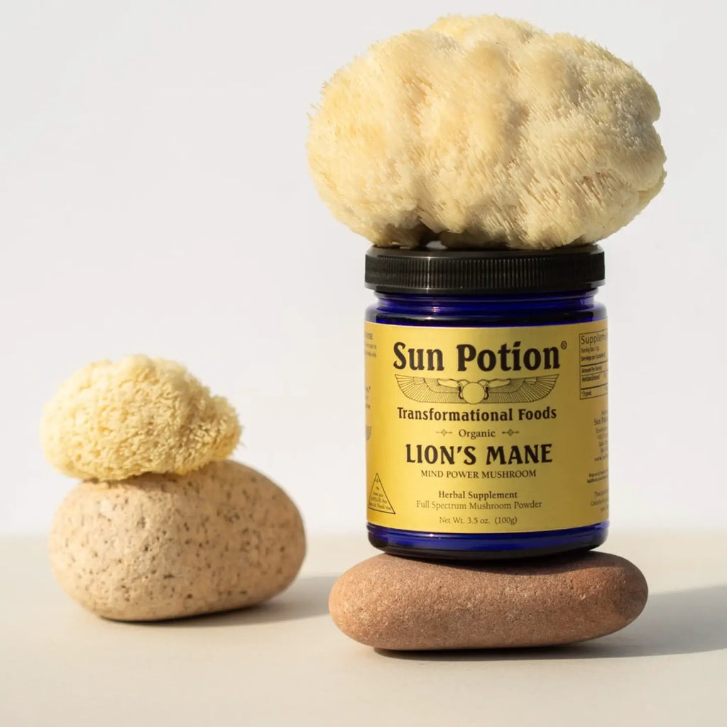 Lion's Mane (Organic) 100 Grams